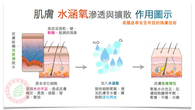 水涵氧滲透與擴散作用示意圖