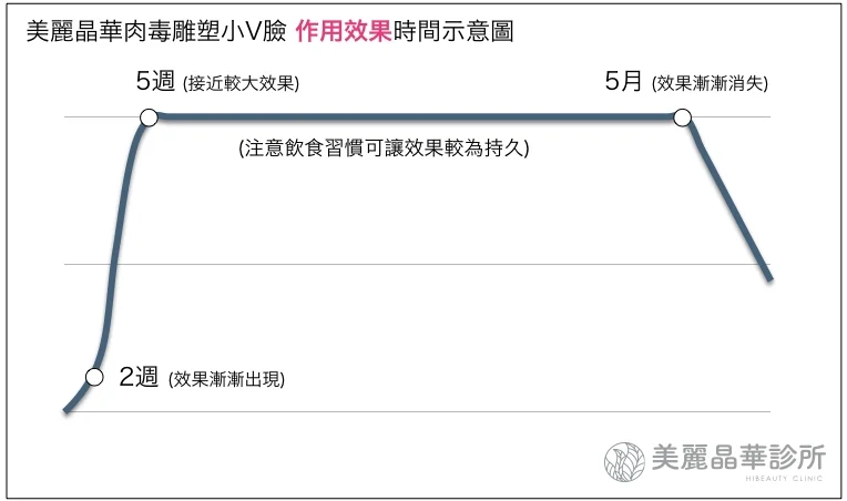 肉毒小V臉作用效果示意圖